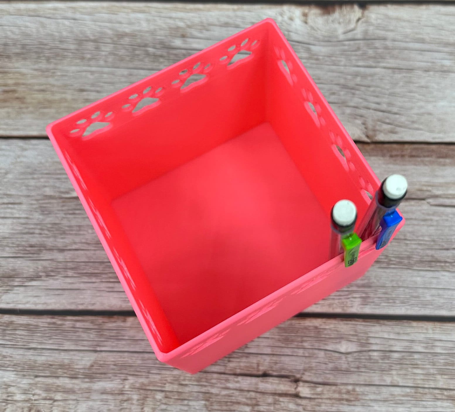 The Xoloitzcuintli - Catch all jar | Simple organizer |