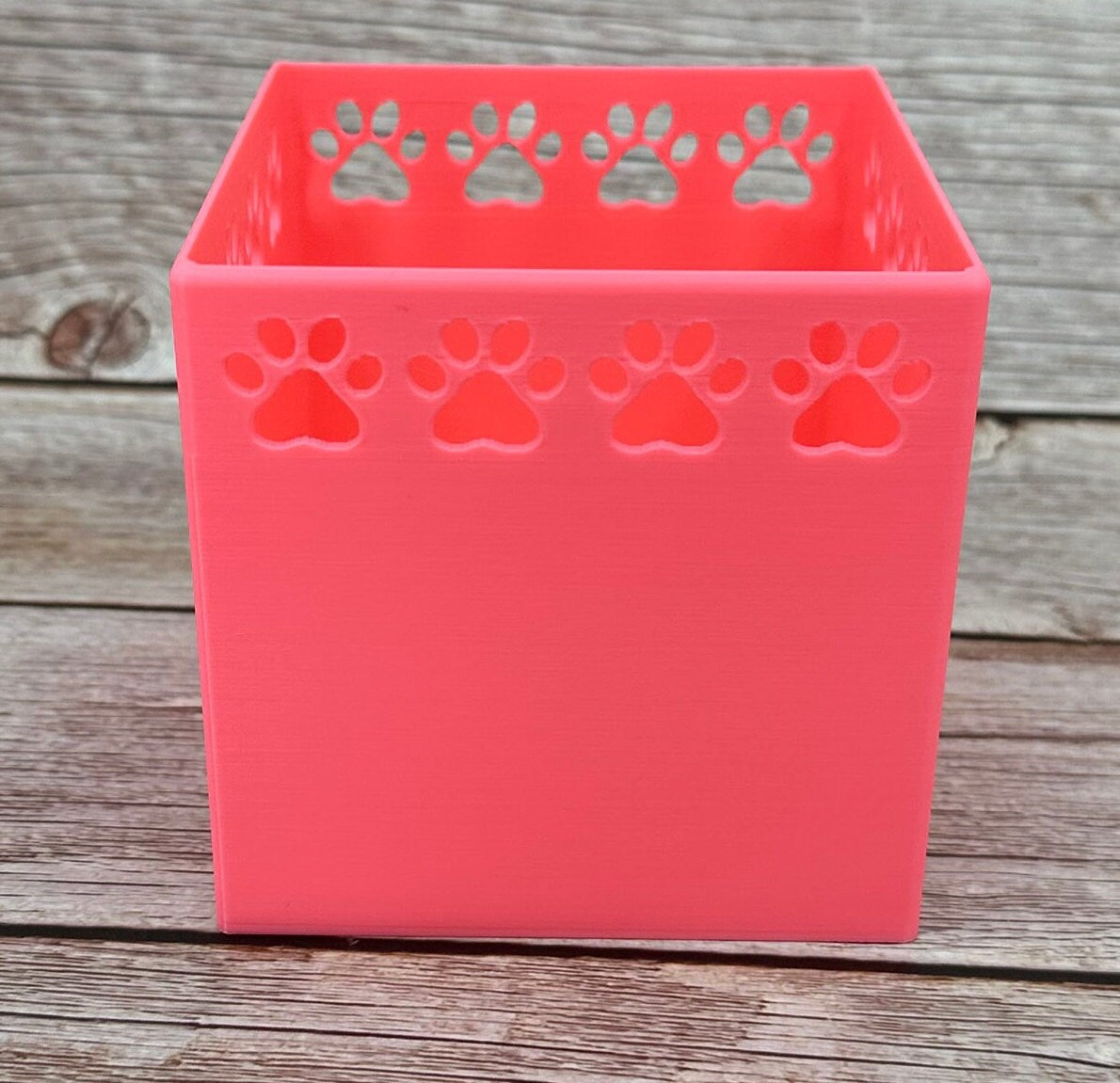 The Xoloitzcuintli - Catch all jar | Simple organizer |