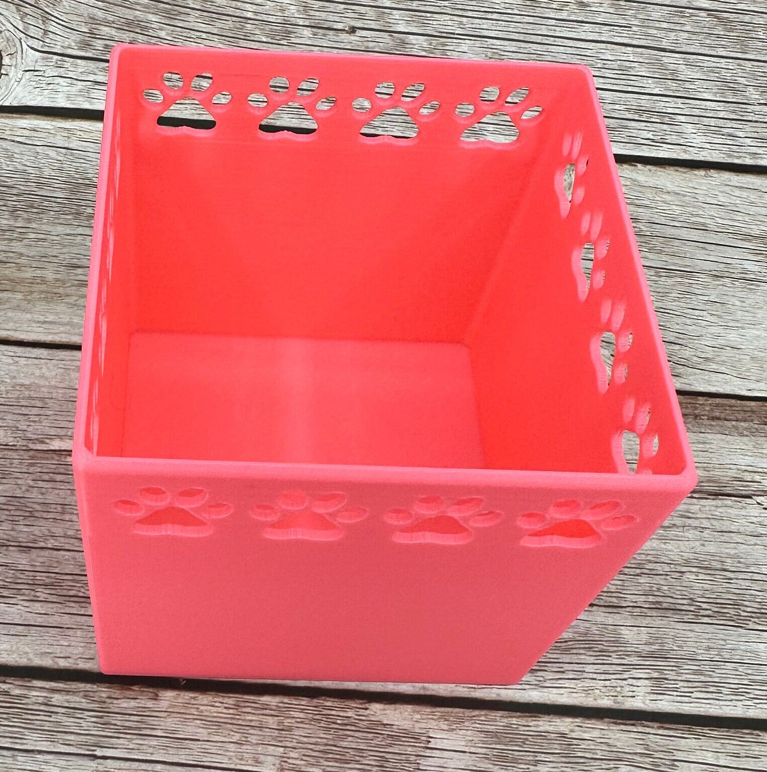 The Xoloitzcuintli - Catch all jar | Simple organizer |